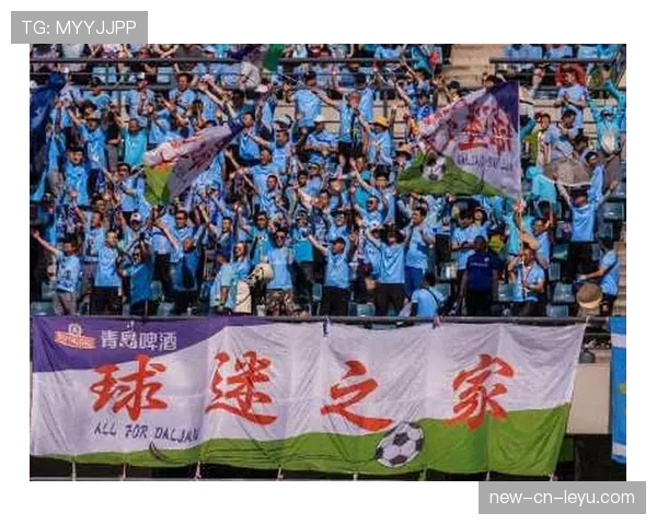 球迷区官方志愿者违规处理公示与申诉受理渠道公布，球迷协会